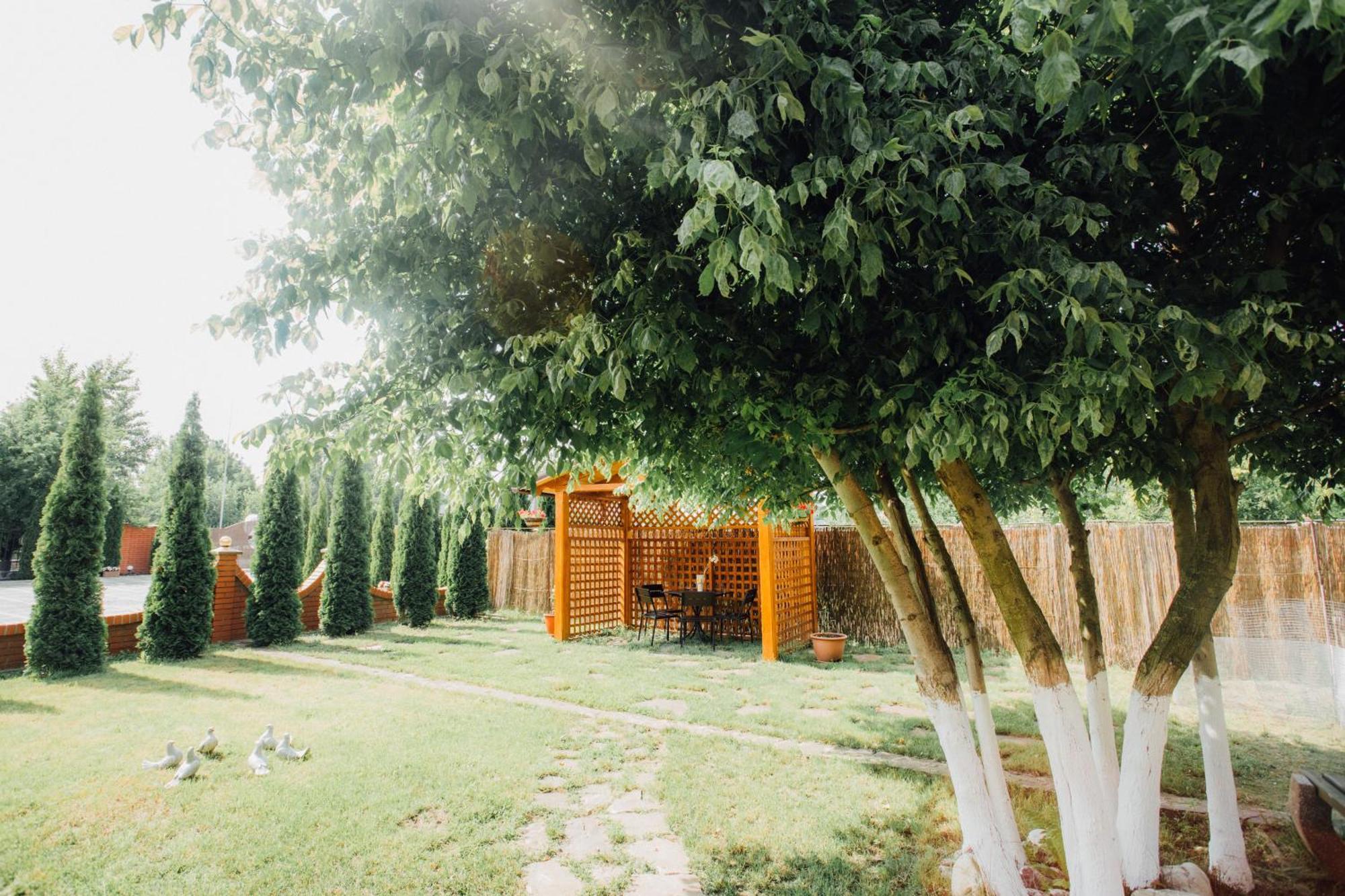 Villa Fenix Berehove  Ngoại thất bức ảnh